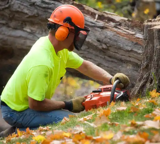 tree services Winfall